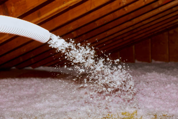 Best Insulation Air Sealing  in Broadlands, VA